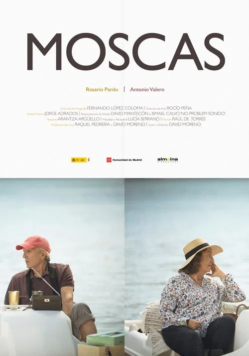Flies movie poster