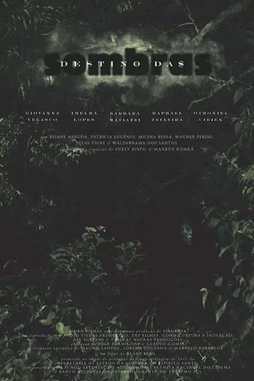 Destino das Sombras movie poster