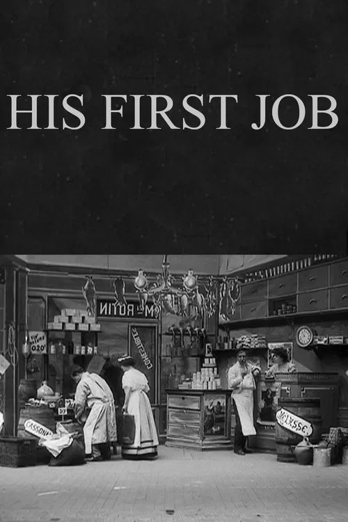 His First Job movie poster
