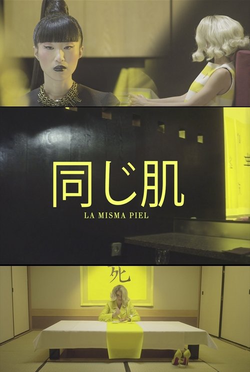 La misma piel movie poster