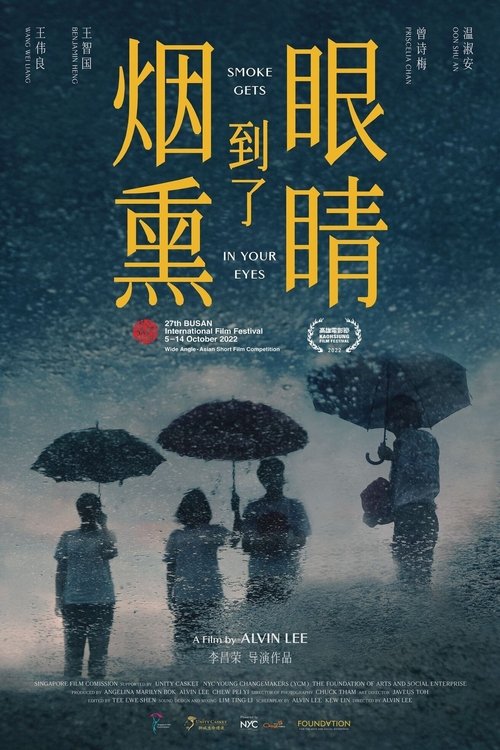 Poster do filme Smoke Gets in Your Eyes