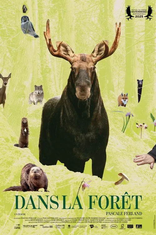 In the Forest movie poster