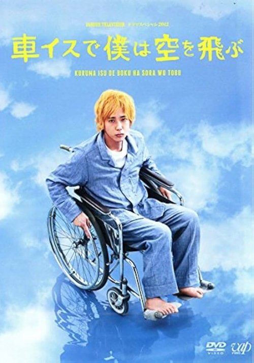 I Will Fly to the Sky on a Wheelchair movie poster
