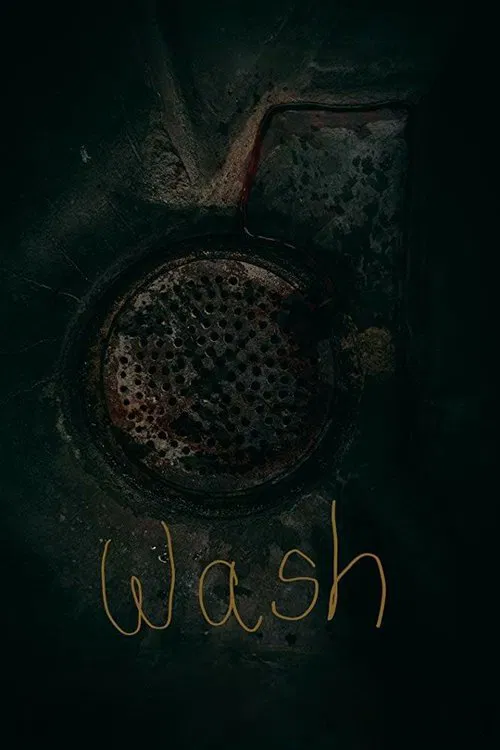 Poster do filme Wash