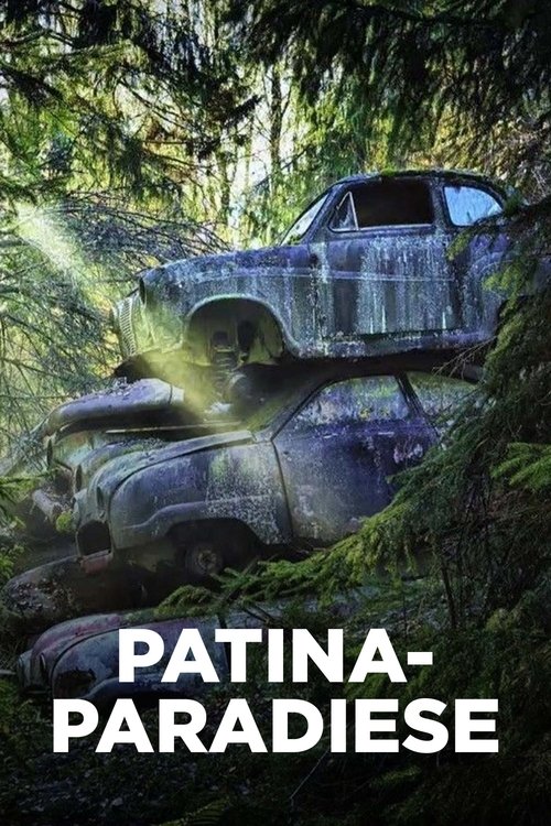 Paradis de rouille tv show poster
