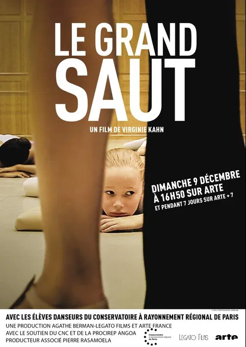 Le grand saut movie poster