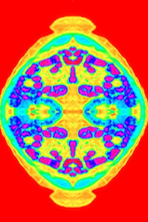 Stay Inside movie poster