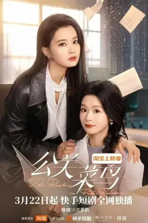 The Rookie in Public Relation tv show poster