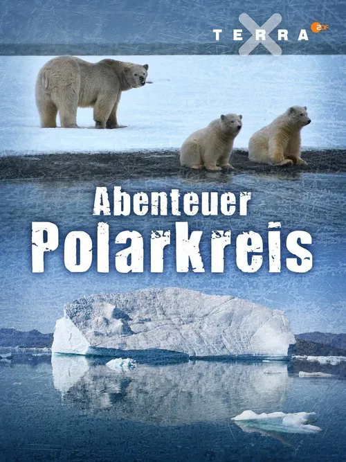 Abenteuer Polarkreis movie poster