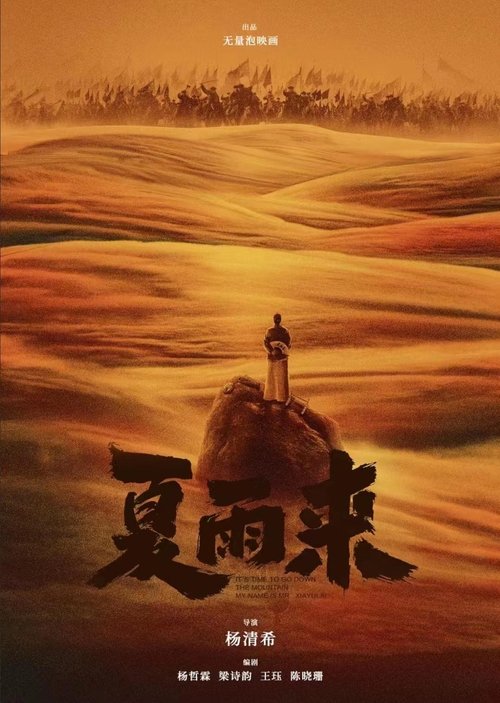 Poster do filme 夏雨来