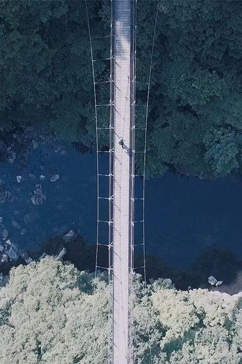 Poster do filme Tomoshibi