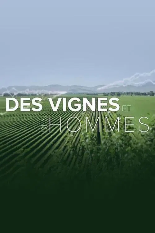 Poster da série Worldwide Wine Civiliziations