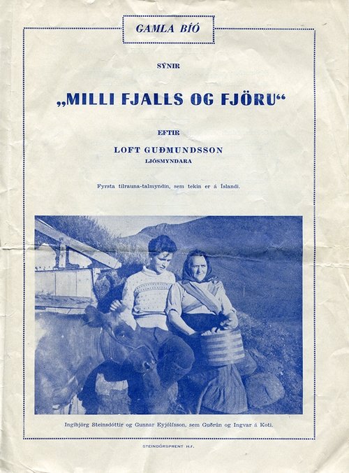 Between Mountain and Shore movie poster