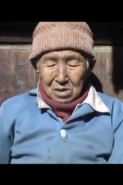 Back to Huamulin movie poster