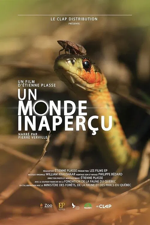 Un monde inaperçu movie poster