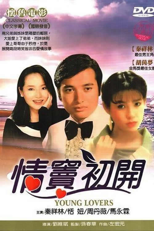 情竇初開 movie poster