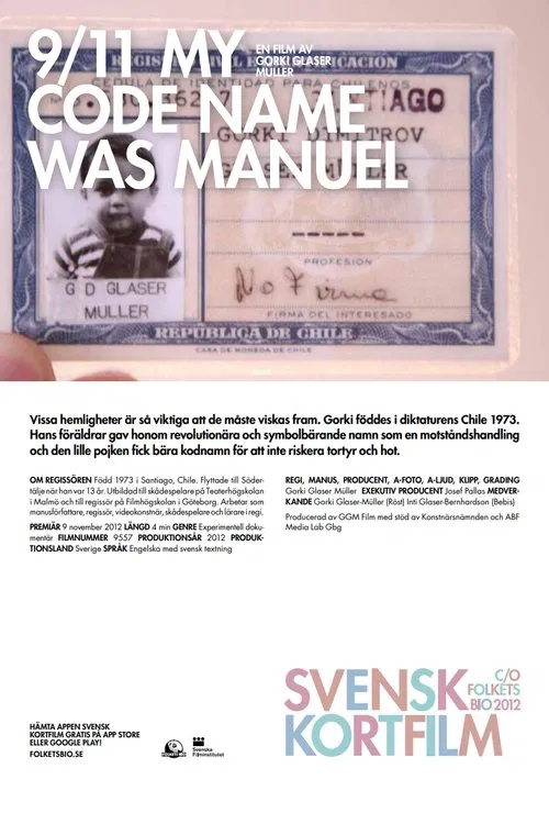 9/11 My Code Name Was Manuel movie poster