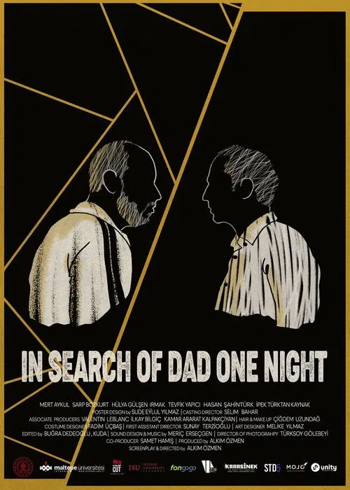 In Search of Dad One Night movie poster