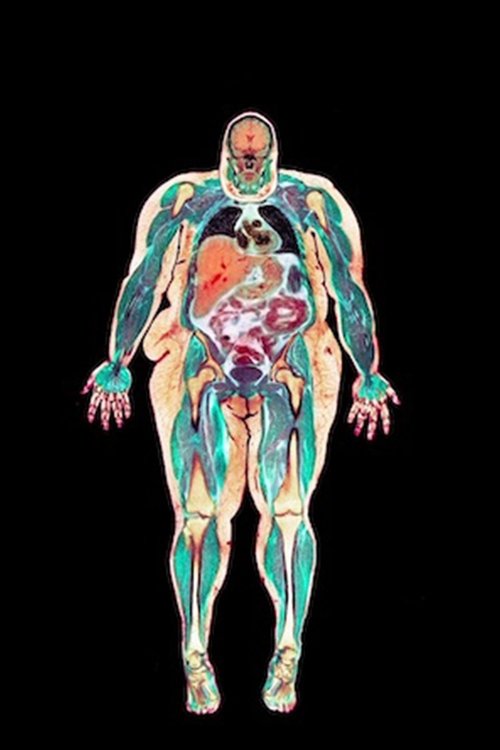 The Seven Stages Of Grief movie poster