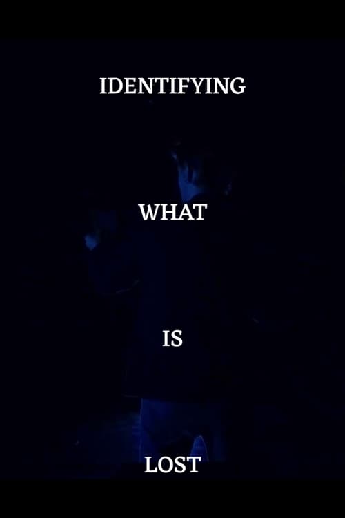 Identifying What's Lost movie poster
