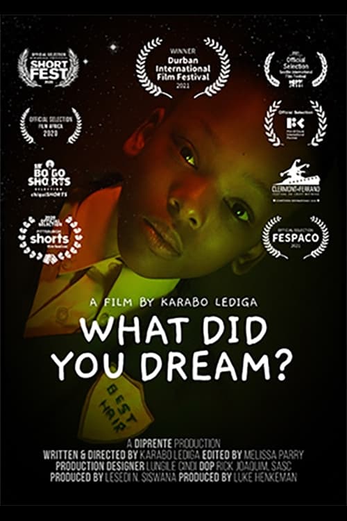 What Did You Dream? movie poster