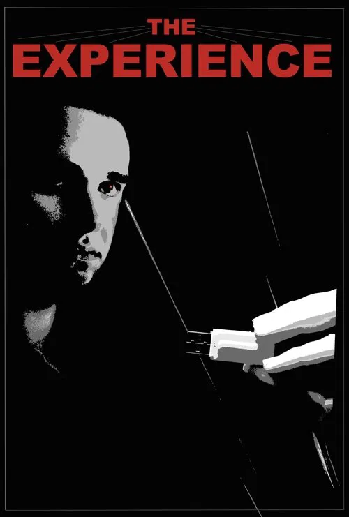 The Experience movie poster