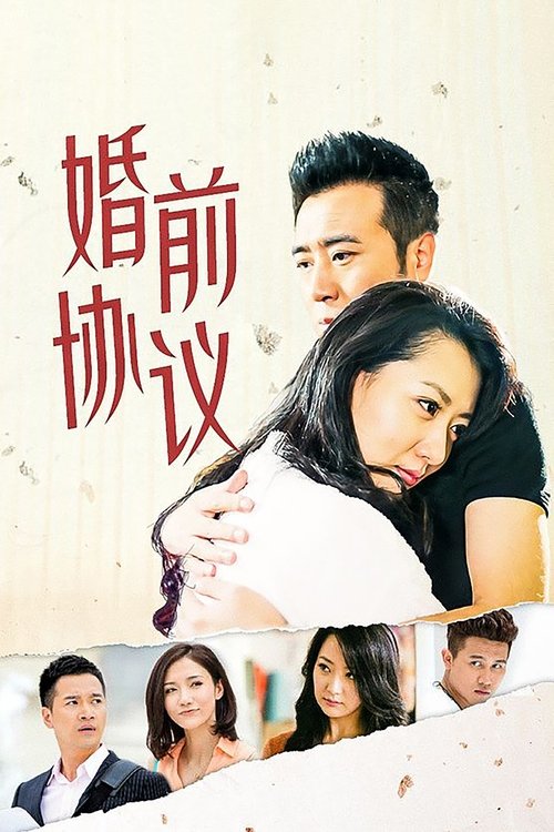 婚前协议 tv show poster