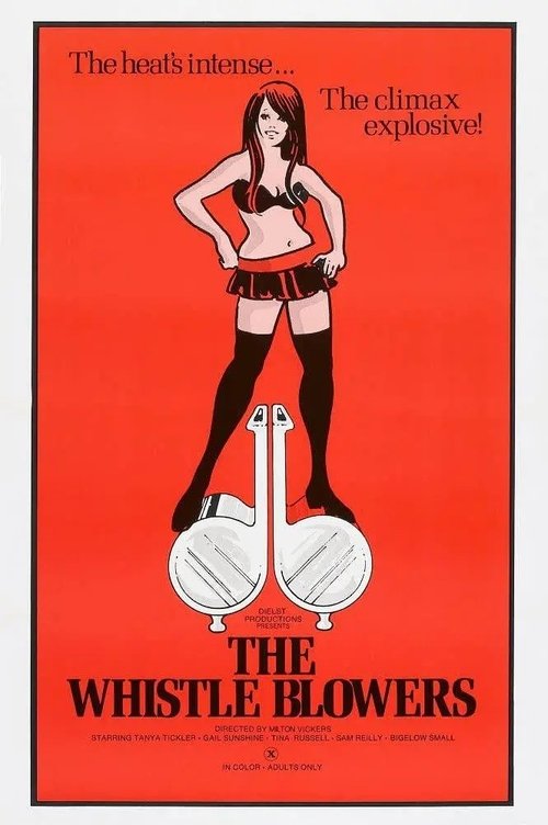 The Whistle Blowers movie poster