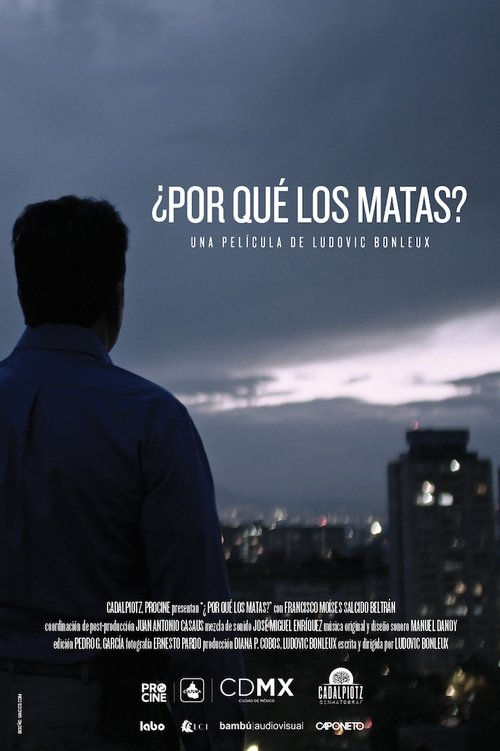 Why Do You Kill Them? movie poster