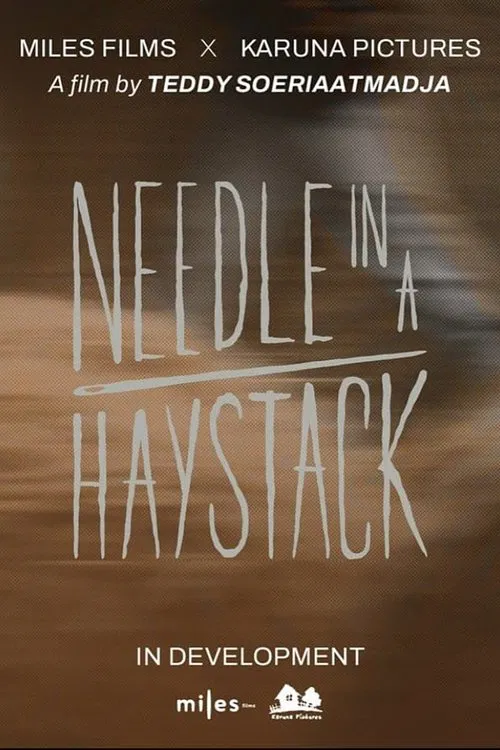 Needle In A Haystack movie poster