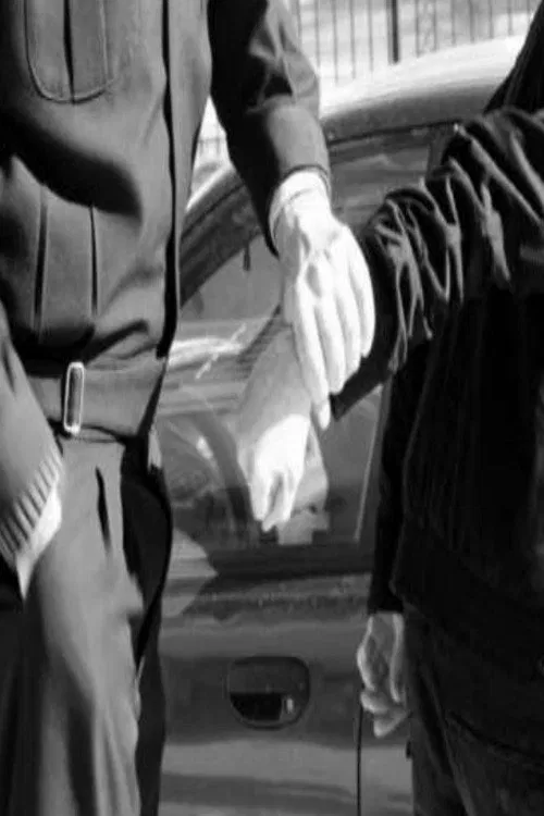 Crossing the line movie poster