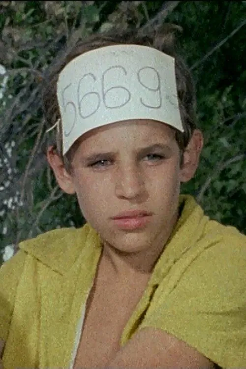 Péter Müller profile picture