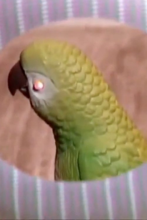 Whispering Pines 1 movie poster