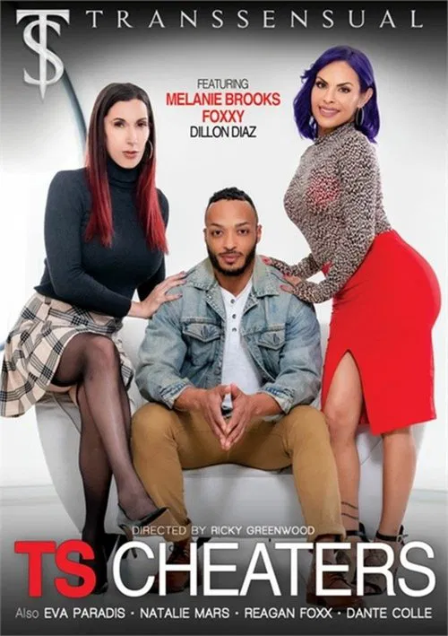 TS Cheaters movie poster