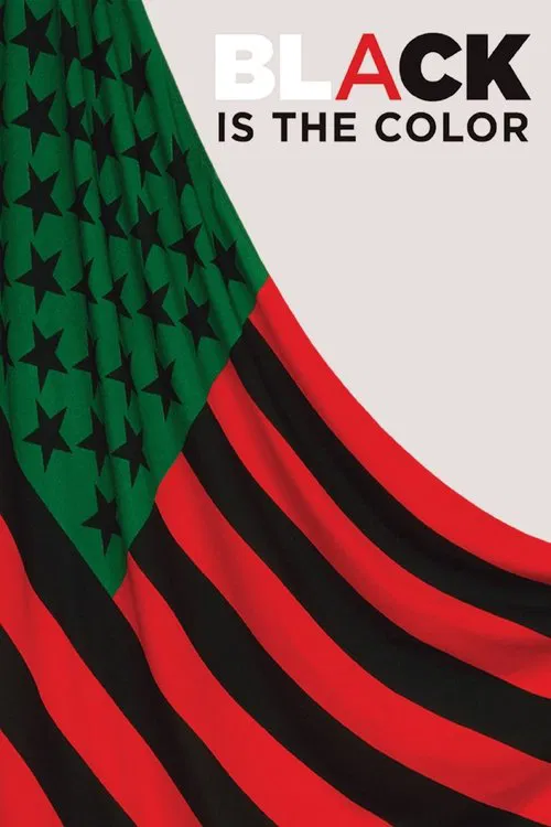 Black Is the Color: African-American Artists and Segregation movie poster