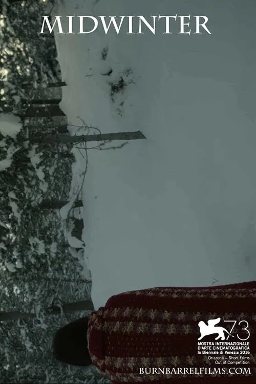 Poster do filme Midwinter