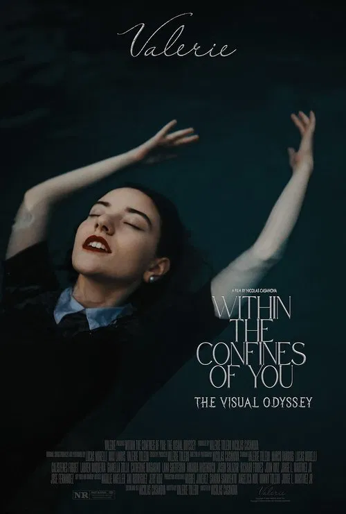 Poster do filme Within the Confines of You: The Visual Odyssey