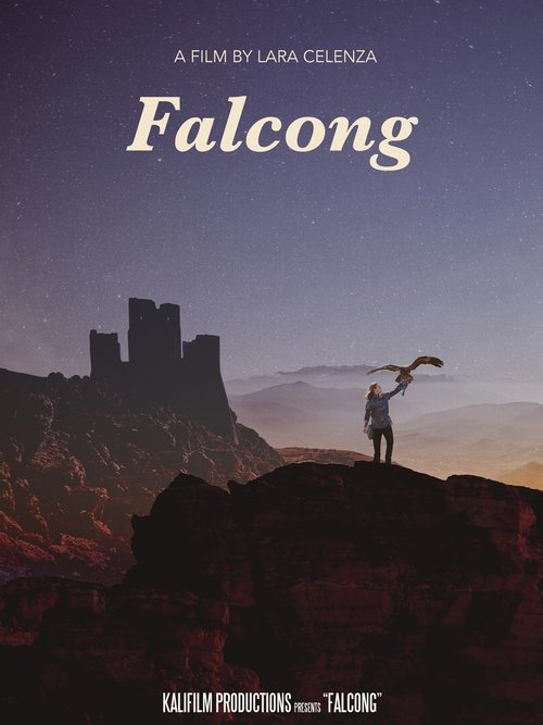 Poster do filme Falcong