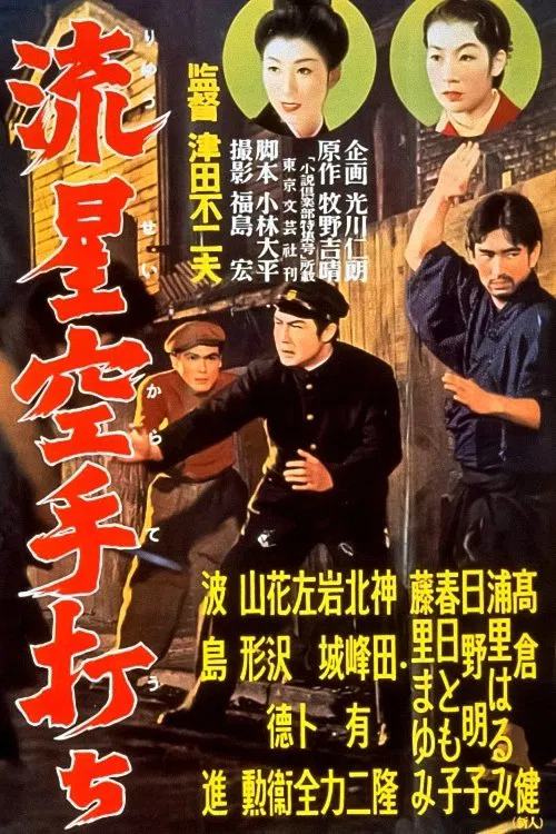 Meteor Karate Strike movie poster