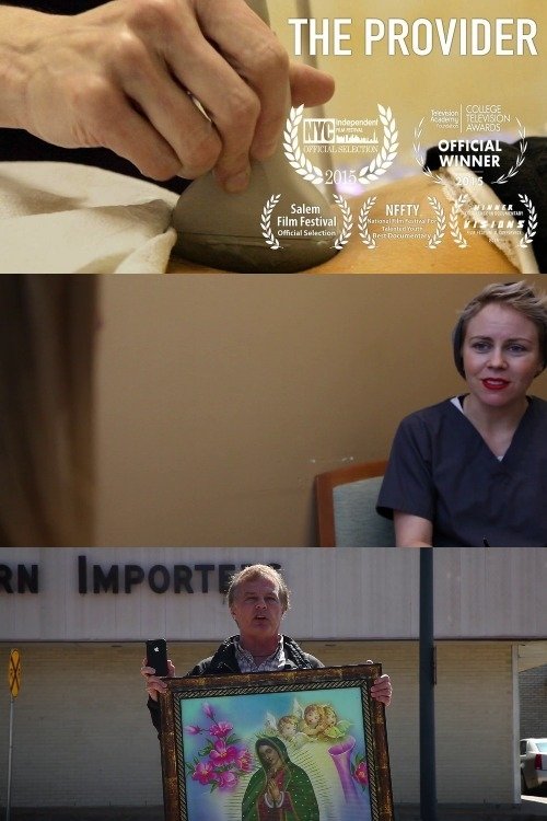 The Provider movie poster