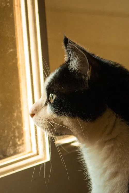 Duncan Rice profile picture