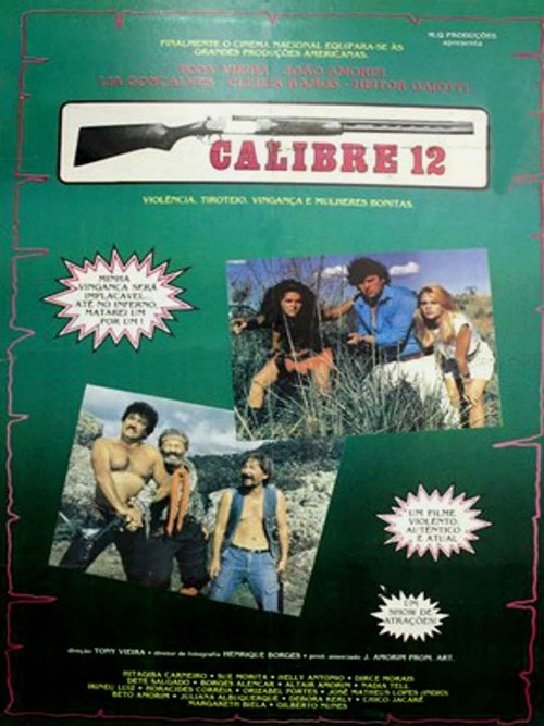 Calibre 12 movie poster