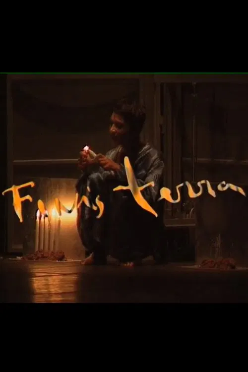Poster do filme Finisterra