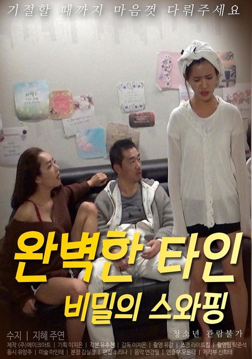 Perfect Others – Swapping Secrets movie poster