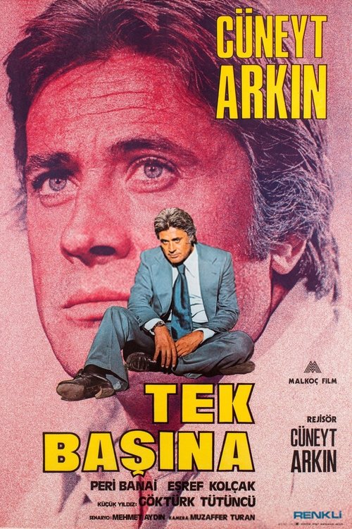 Tek Başına movie poster