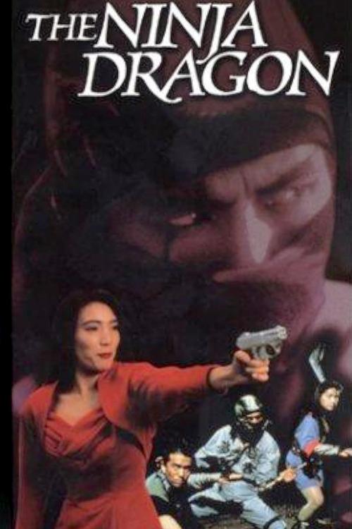 Legend of the Shadowy Ninja: The Ninja Dragon movie poster