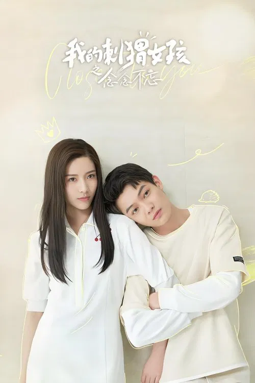 我的刺猬女孩之念念不忘 tv show poster