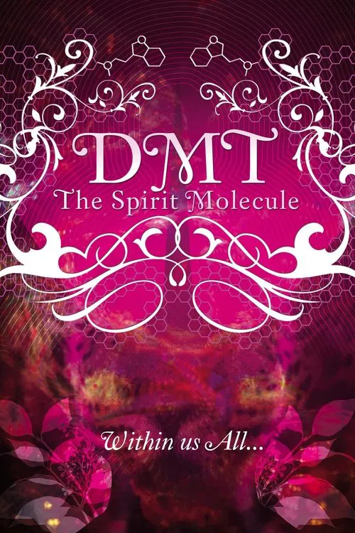 DMT: The Spirit Molecule movie poster