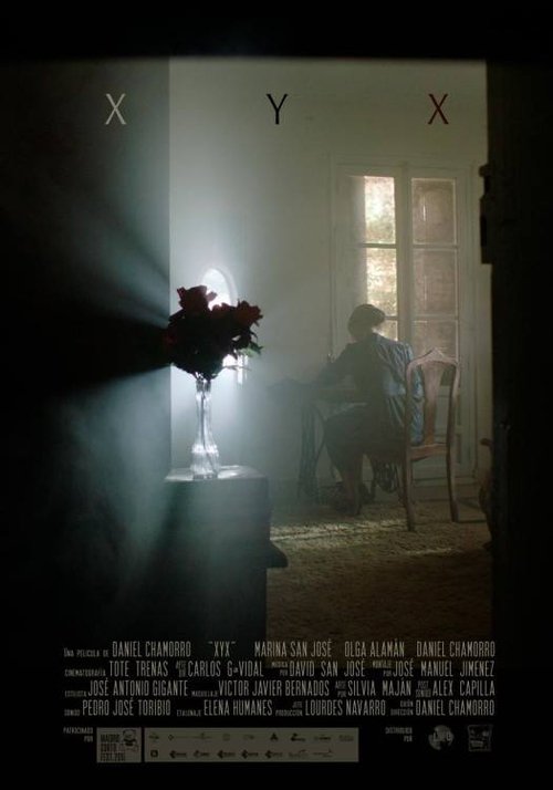 XYX movie poster