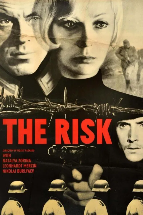 Risk movie poster